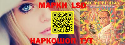 мдпв Гатчина