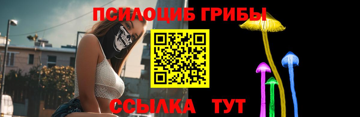 Киржач  Псилоцибиновые грибы Magic Shrooms  Вход с VPN 